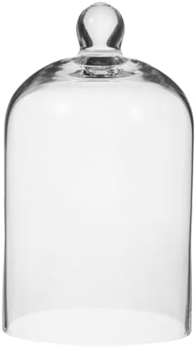 Clear Glass Dome Cloche with Base for Decoration