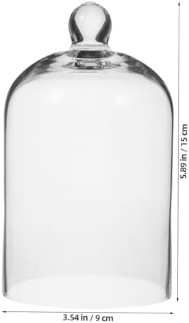 Clear Glass Dome Cloche with Base for Decoration