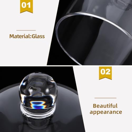 Clear Glass Dome Cloche with Base for Decoration