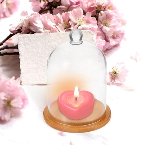 Clear Glass Dome Cloche with Base for Decoration