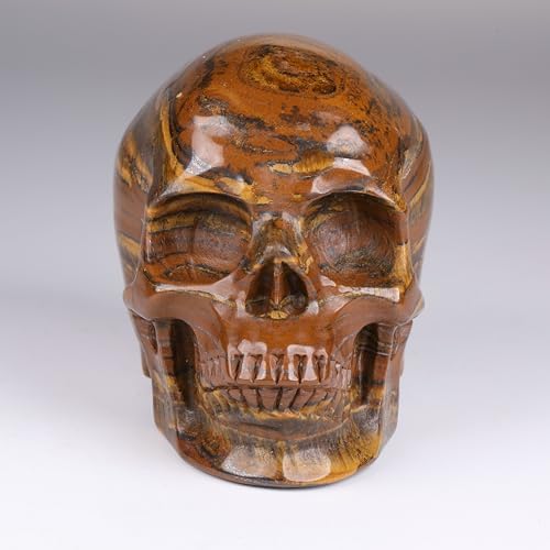 MRSKULL 25 Inch Tiger Iron Eye Skull Statue