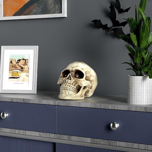 READAEER Resin Skull Statue for Home Decor
