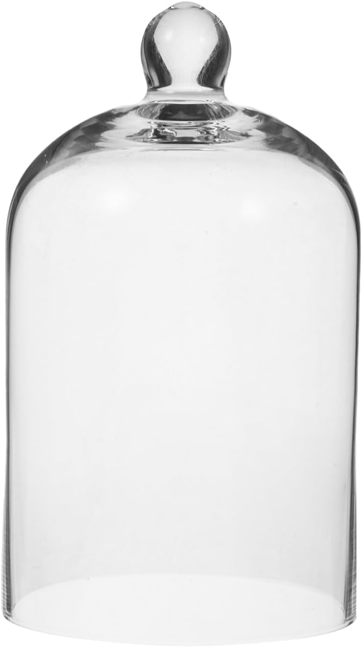 Clear Glass Dome Cloche with Base for Decoration