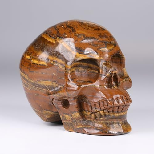 MRSKULL 25 Inch Tiger Iron Eye Skull Statue