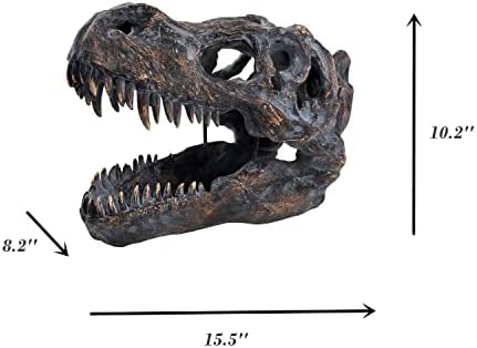 HEINBOW T-Rex Skull Wall Decor 155L