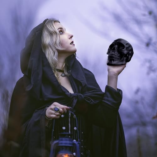 READAEER Resin Skull Statue for Home Decor 1