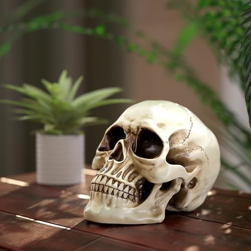 READAEER Resin Skull Statue for Home Decor