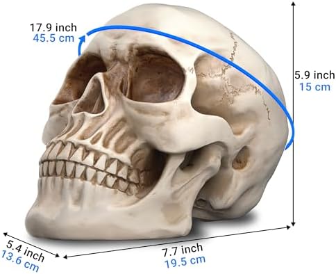 READAEER Resin Skull Statue for Home Decor