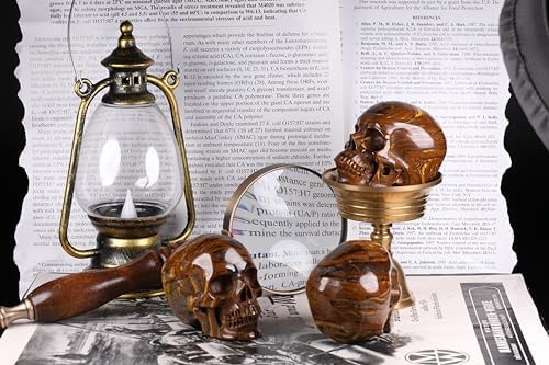 MRSKULL 25 Inch Tiger Iron Eye Skull Statue