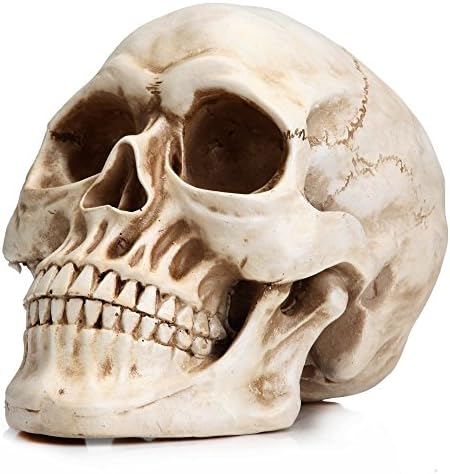 READAEER Resin Skull Statue for Home Decor