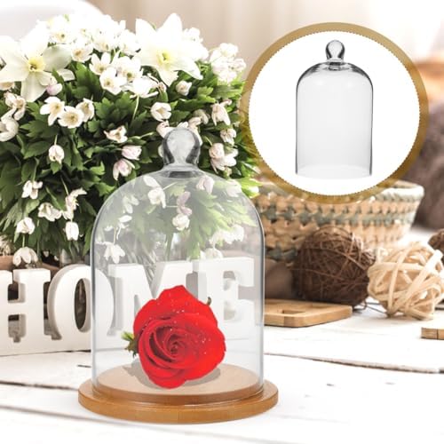 Clear Glass Dome Cloche with Base for Decoration