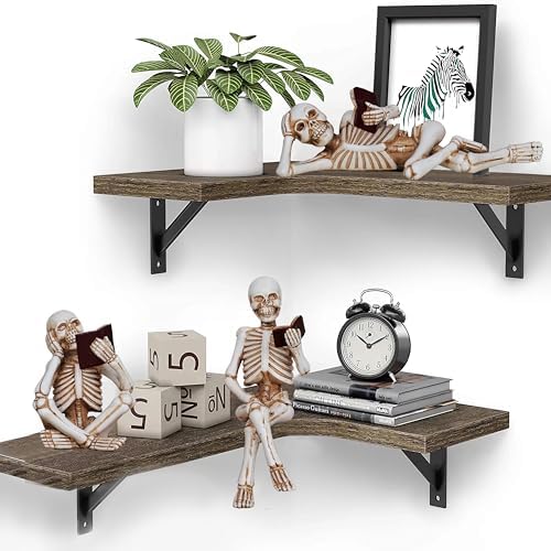 3 Piece Halloween Skeleton Statue Set