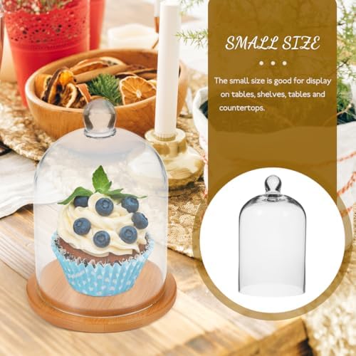 Clear Glass Dome Cloche with Base for Decoration