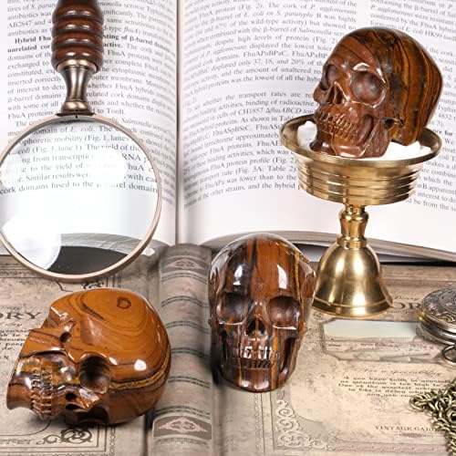 MRSKULL 25 Inch Tiger Iron Eye Skull Statue