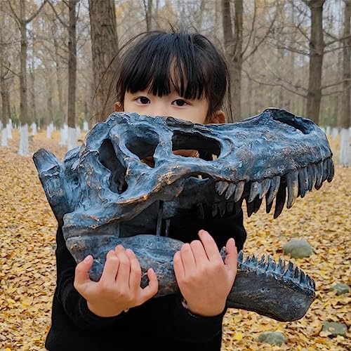 HEINBOW T-Rex Skull Wall Decor 155L