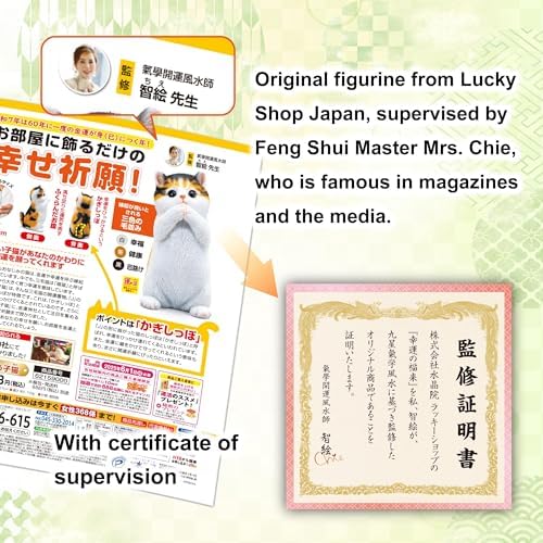 Good Luck Owl Feng Shui Decor Figurine