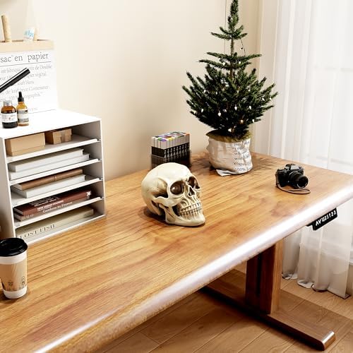 READAEER Resin Skull Statue for Home Decor