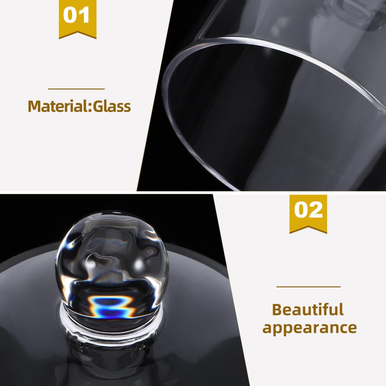 Clear Glass Dome Cloche with Base for Decoration