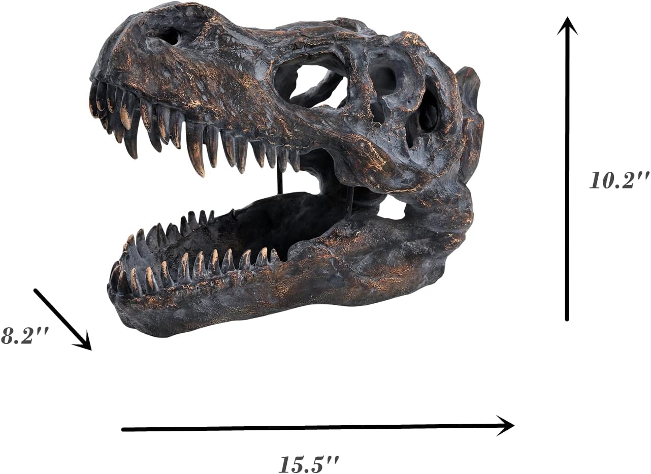 HEINBOW T-Rex Skull Wall Decor 155L