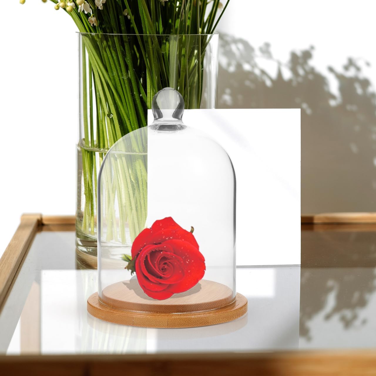 Clear Glass Dome Cloche with Base for Decoration