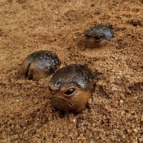 Grumpy Frog Toad Statue Outdoor Garden Decor