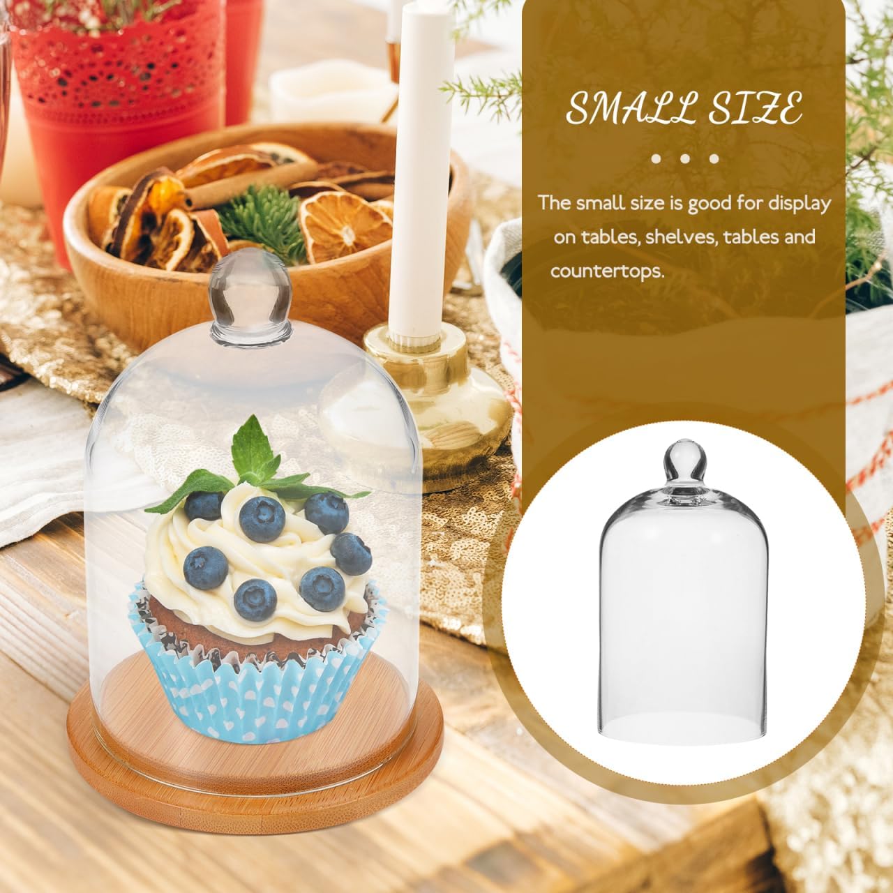 Clear Glass Dome Cloche with Base for Decoration