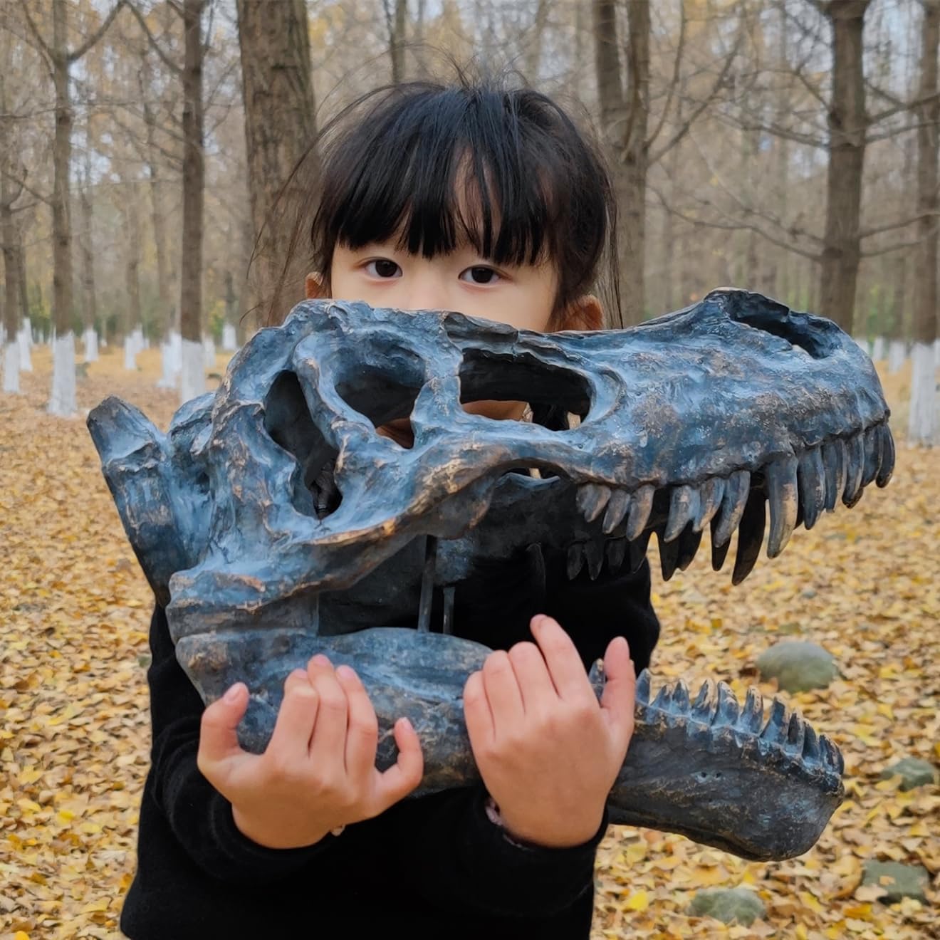HEINBOW T-Rex Skull Wall Decor 155L