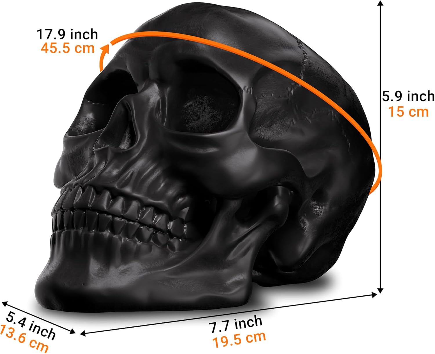 READAEER Resin Skull Statue for Home Decor 1