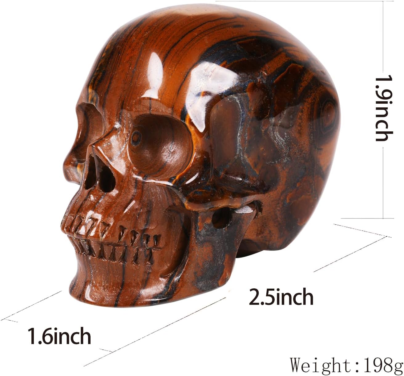 MRSKULL 25 Inch Tiger Iron Eye Skull Statue