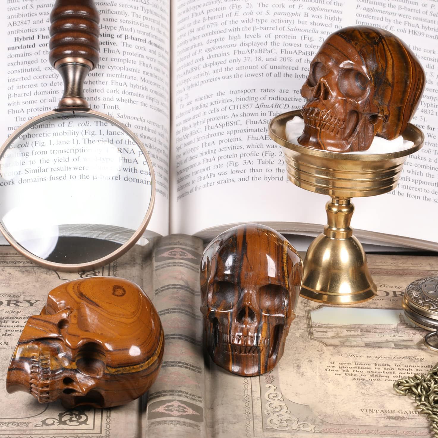 MRSKULL 25 Inch Tiger Iron Eye Skull Statue