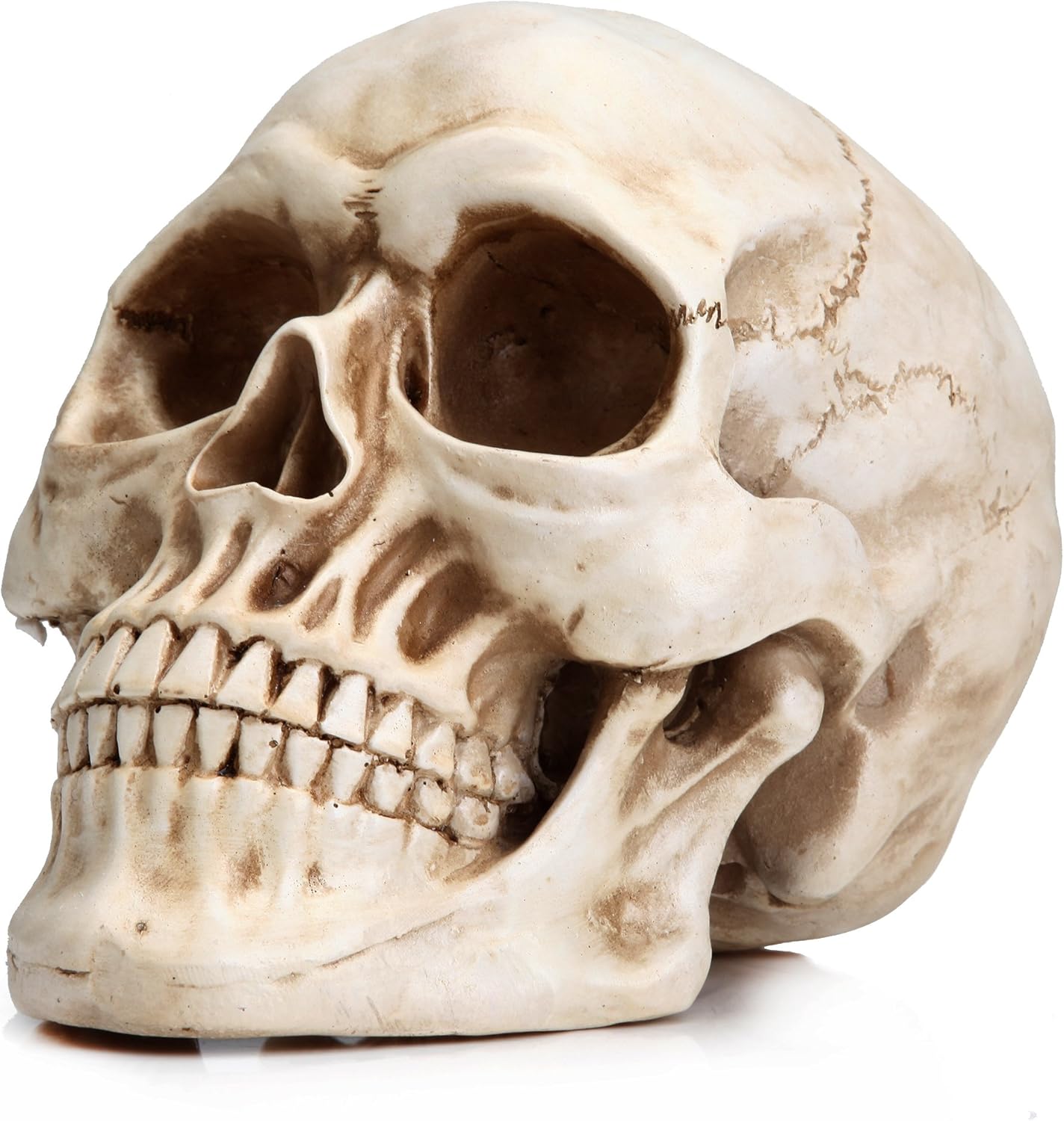 READAEER Resin Skull Statue for Home Decor