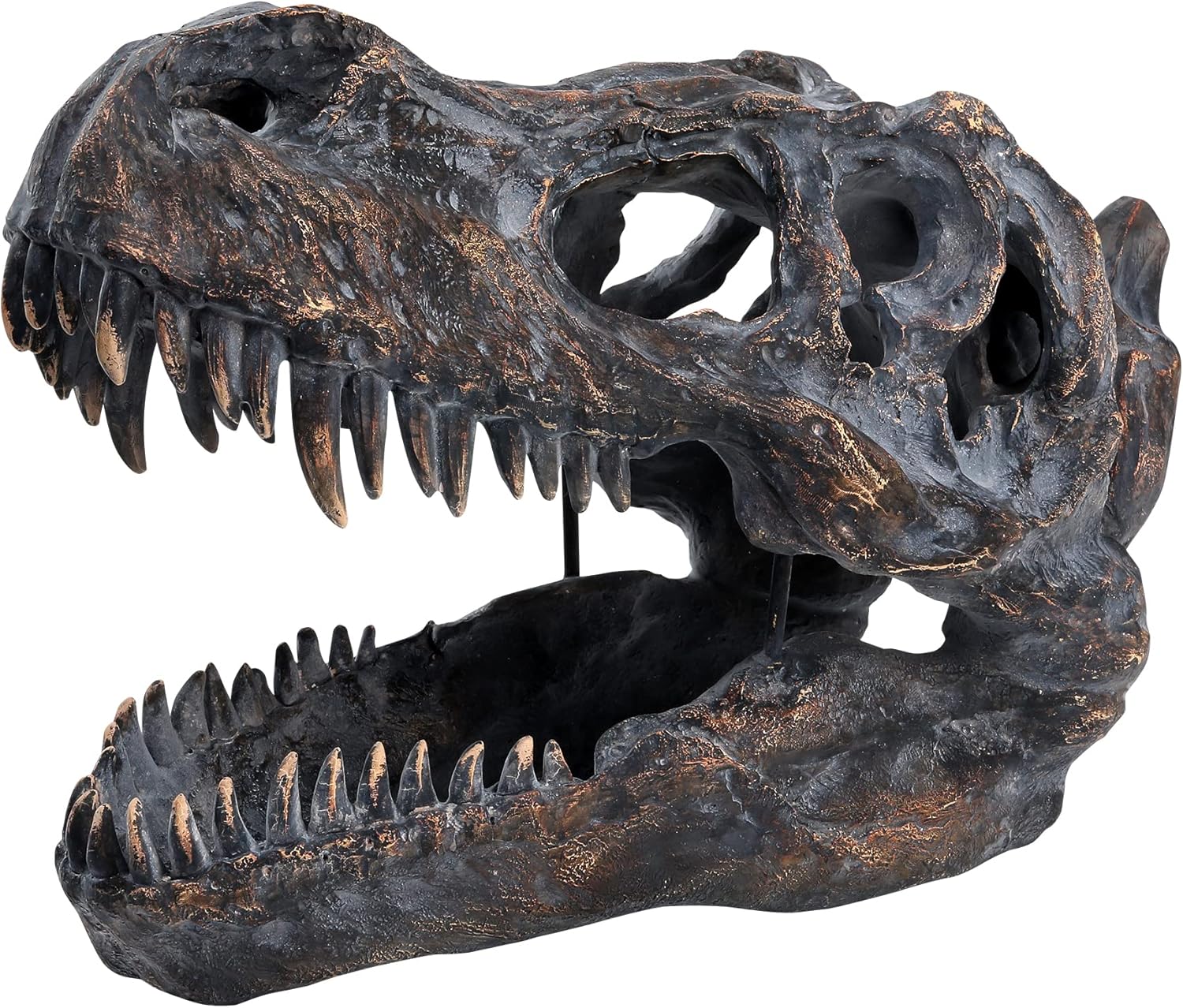 HEINBOW T-Rex Skull Wall Decor 155L