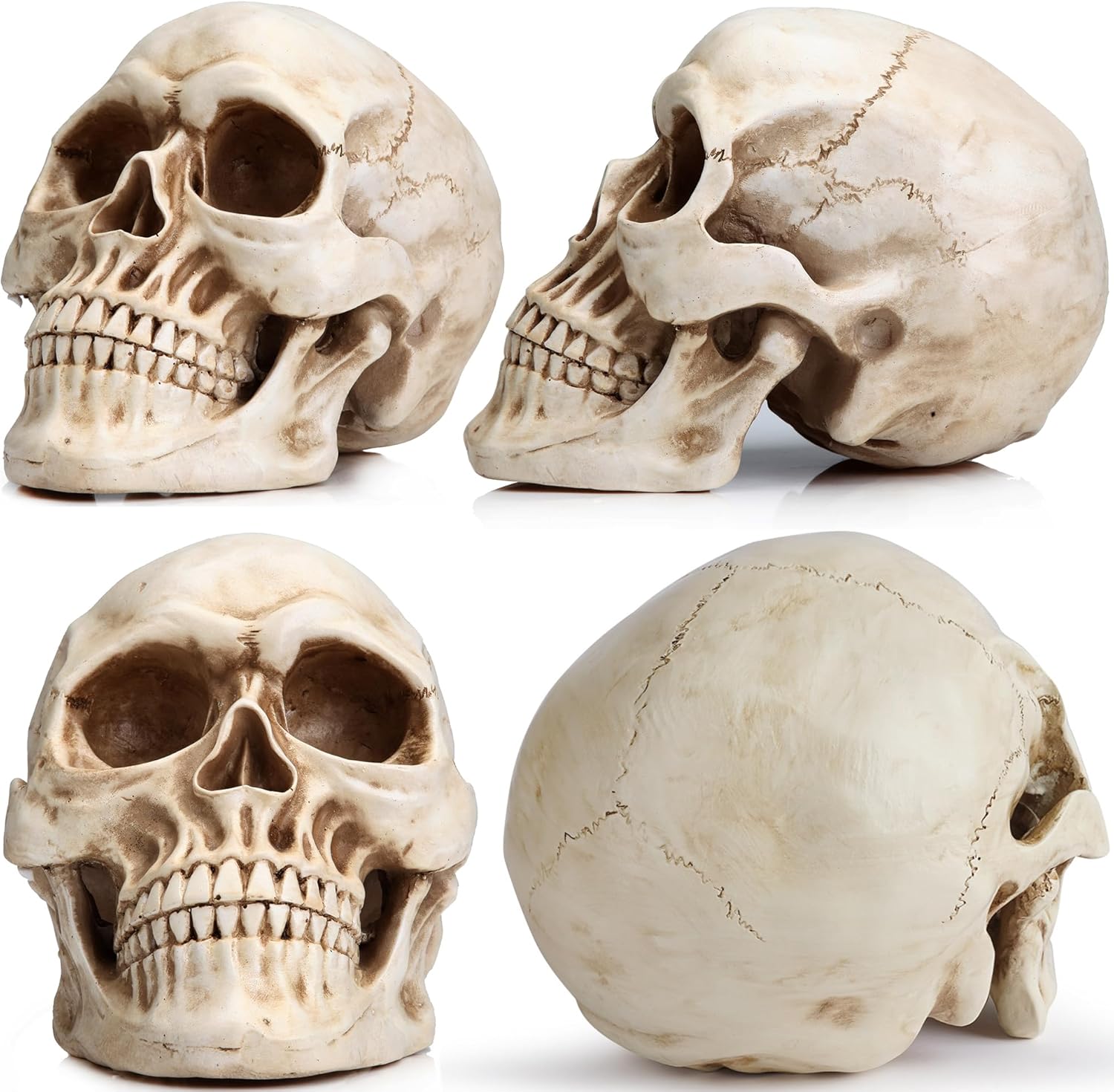 READAEER Resin Skull Statue for Home Decor