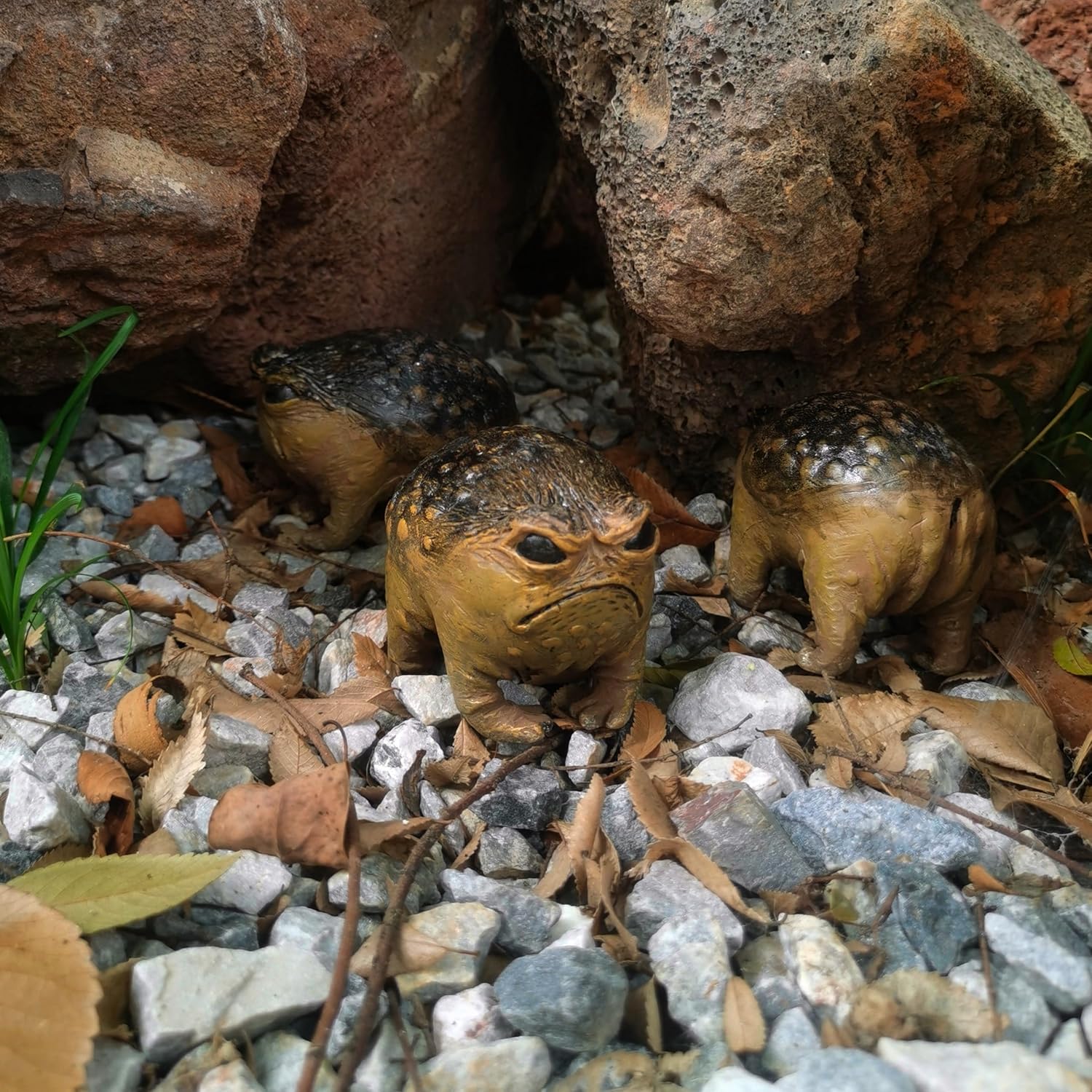 Grumpy Frog Toad Statue Outdoor Garden Decor